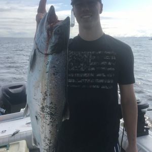 Meet your Posher, Alex